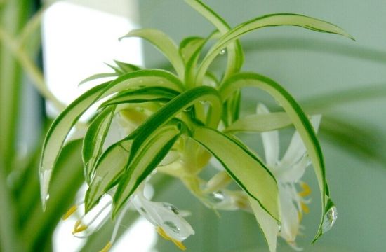 關(guān)于上海甲醛檢測需要了解的幾點你知道嗎？